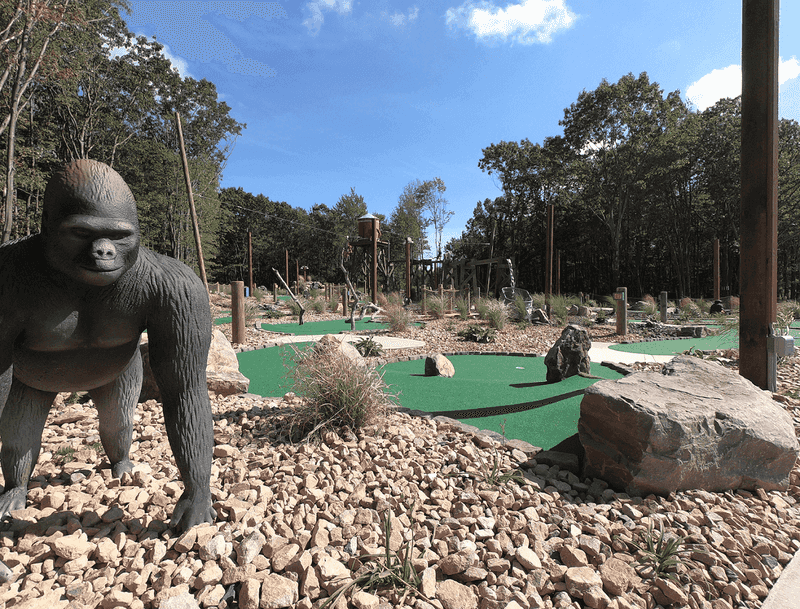 Beyond the Water: An Outdoor Adventure Park and Seasonal Sports