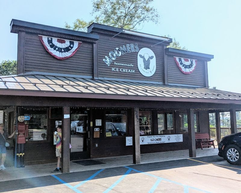 The View From The Pasture