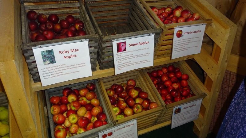 Time Your Visit Around Apple Season
