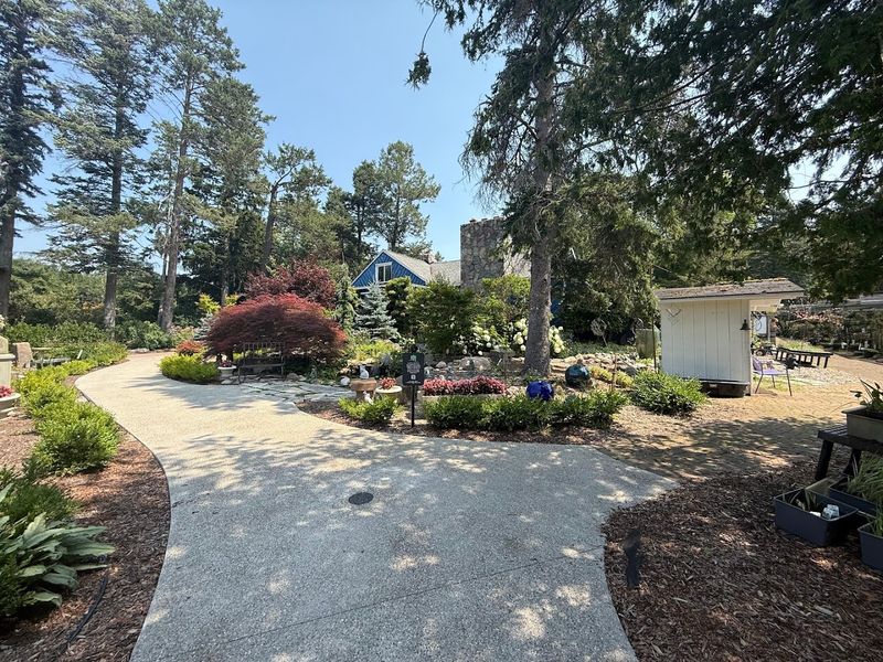 A Lunch In The Garden