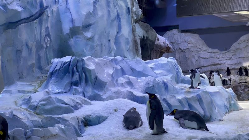 Mind The Photo Etiquette