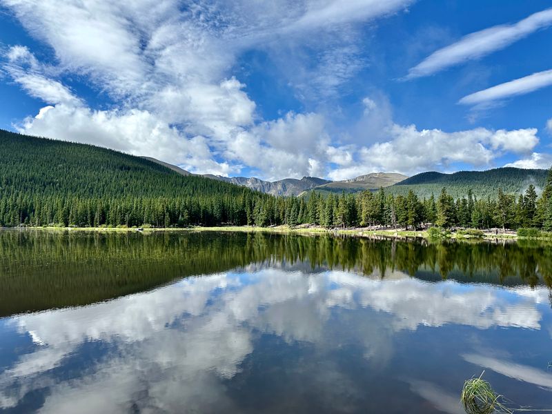 Pullouts That Deserve More Than a Quick Glance