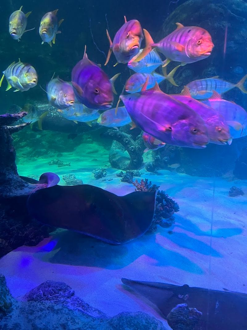 Kid-Level Design That Works