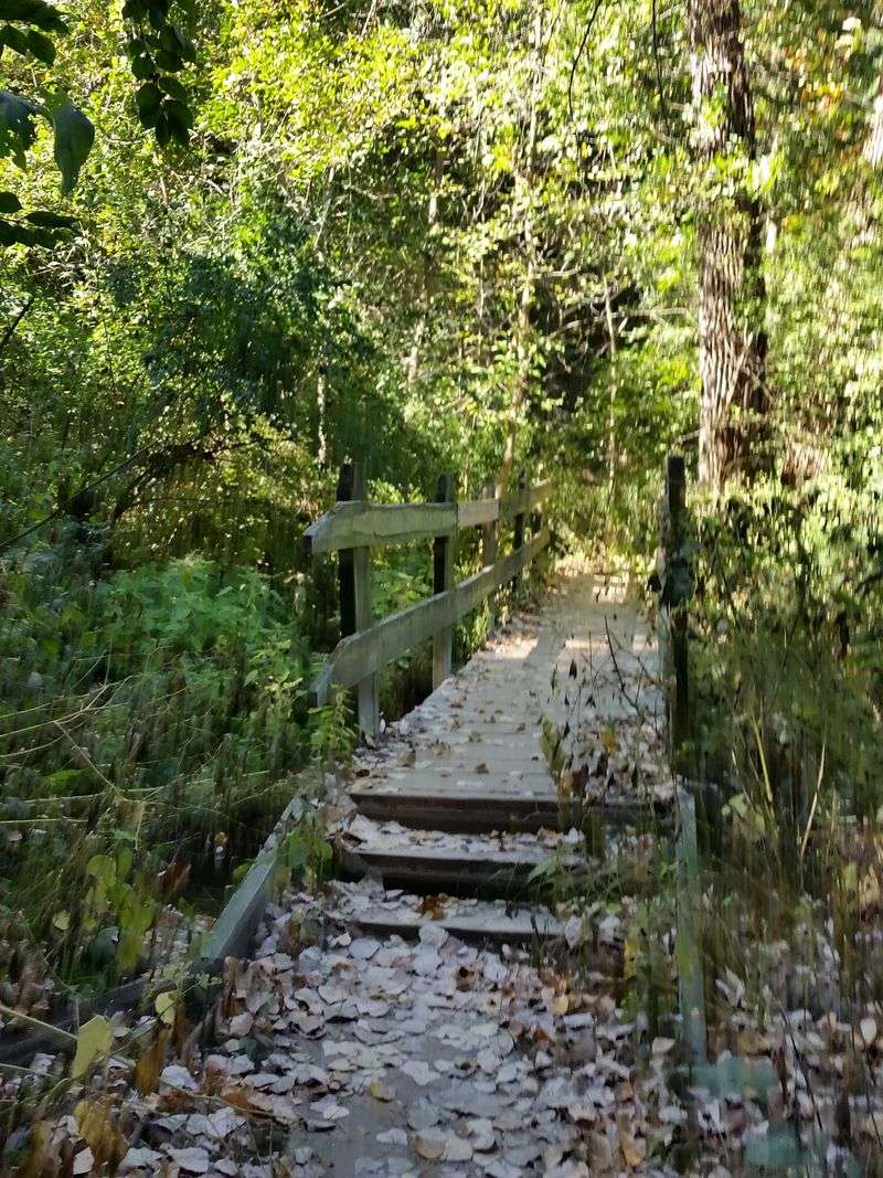 Safety, Accessibility, And Going At Your Own Pace