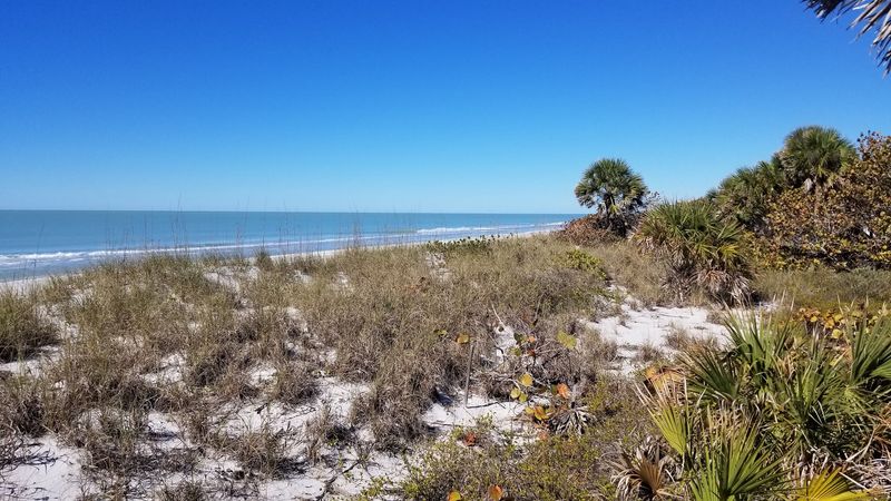 The No-Bridge Policy Preserves What Makes It Special