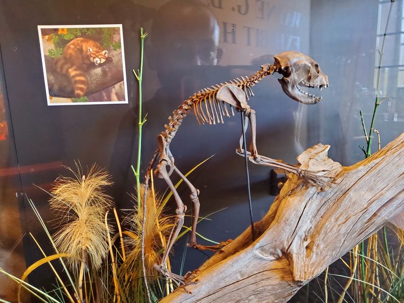 Tiny Creatures And Brand-New Species That Rewrote The Books