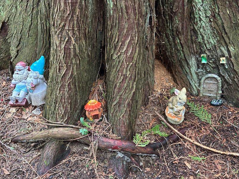Tiny Doors And Windows Built For Magical Creatures