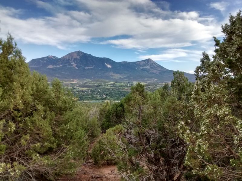 Last Line You Will Share