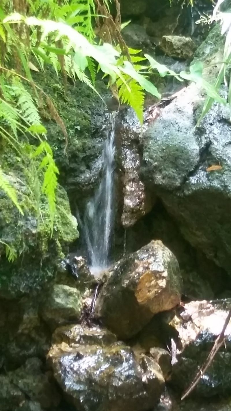 Tiny Waterfalls That Trickle Down The Walls Tiny Waterfalls That Trickle Down The Walls