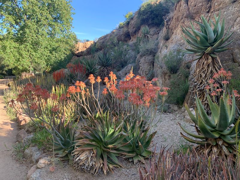 Tiny Wings Steal The Spotlight Along These Trails