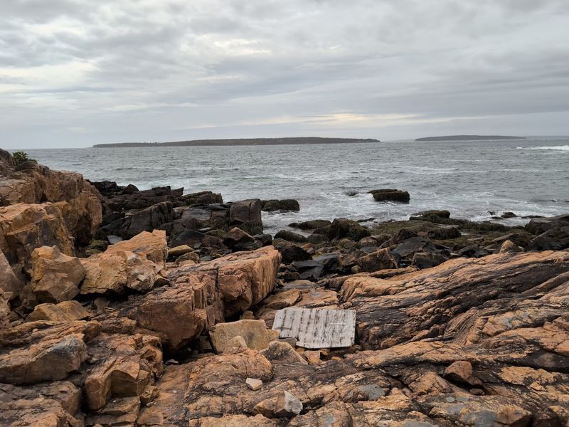 Tiny Worlds At Low Tide