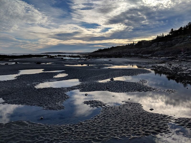 Tiny Worlds At Low Tide