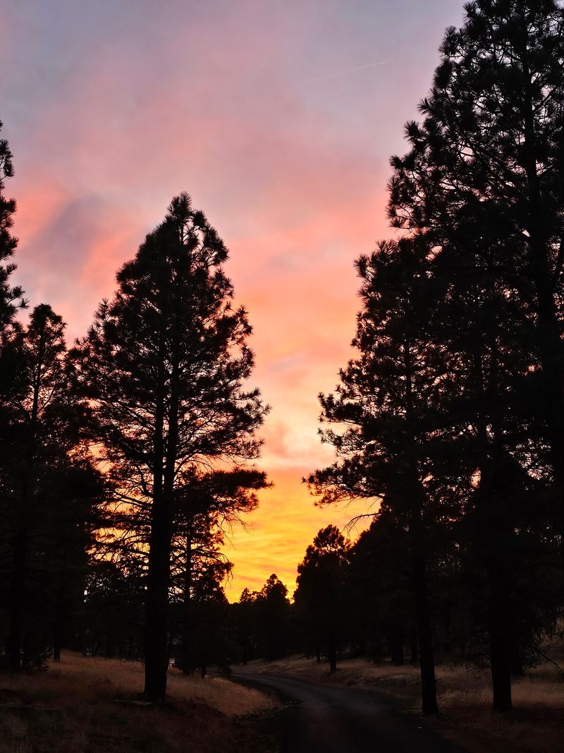 Tips For A Smooth And Happy Hike