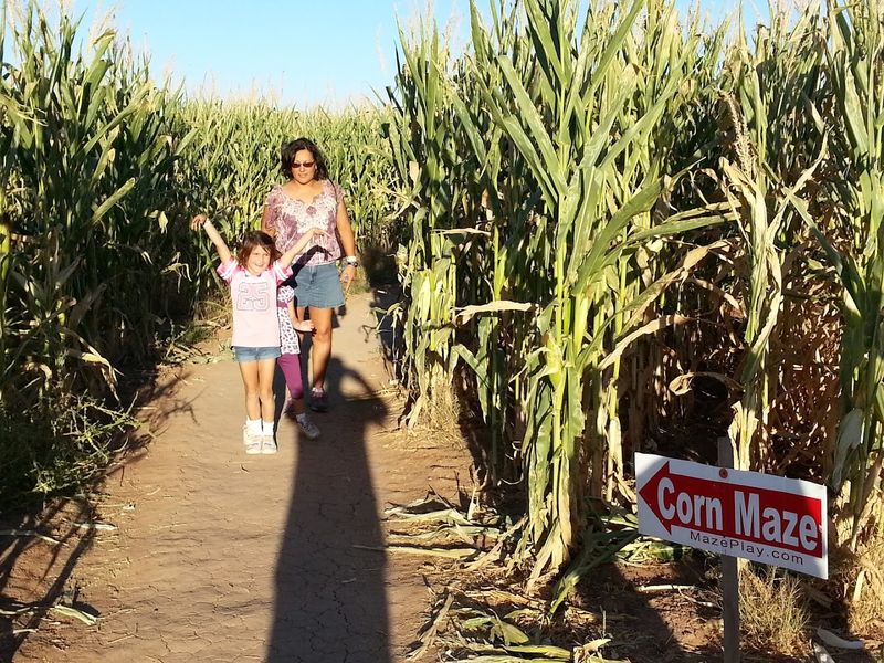 Tips For Making The Most Of Your Visit