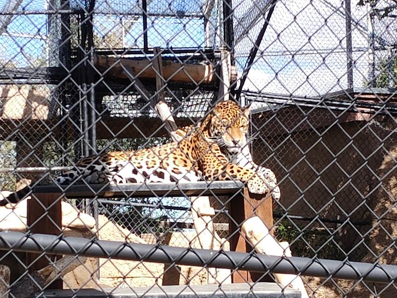 Why This Makes A Perfect Easter Family Outing