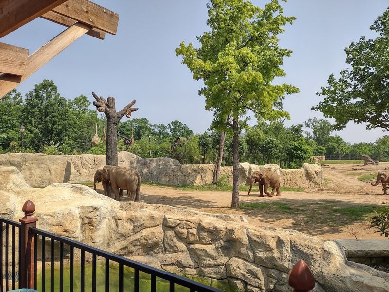 Why This Habitat Leaves a Lasting Impression