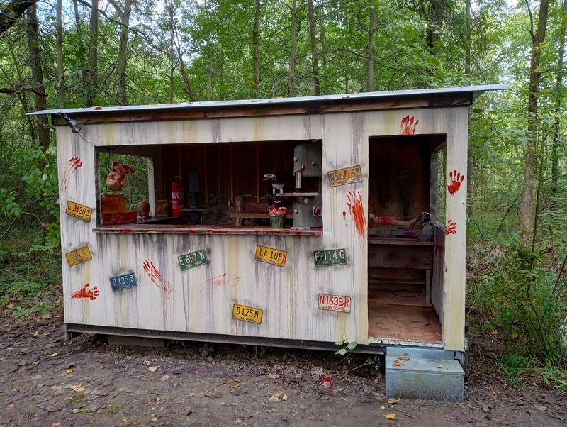 Why Fear Forest Keeps Drawing People Back