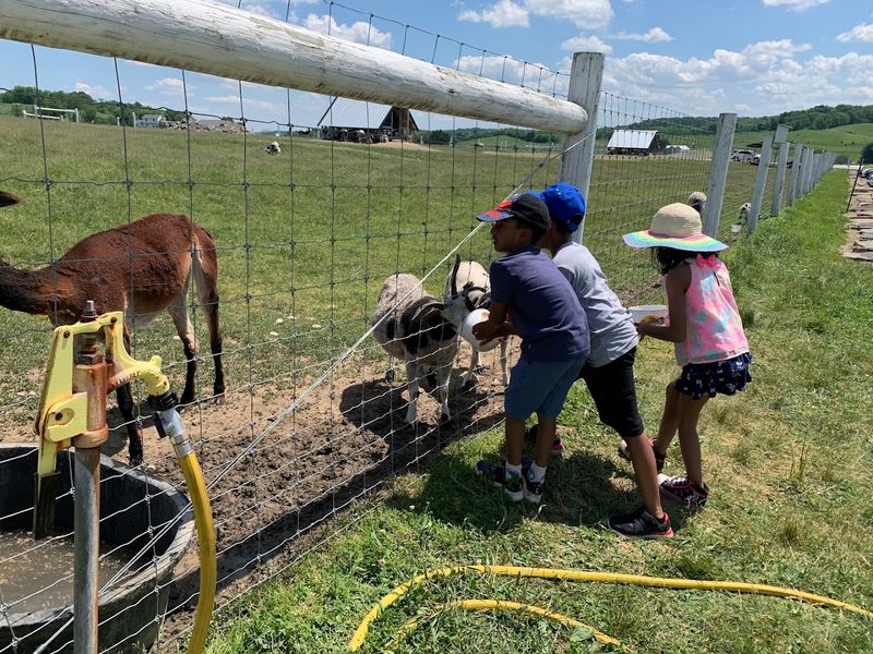 Perfect for Every Age Group