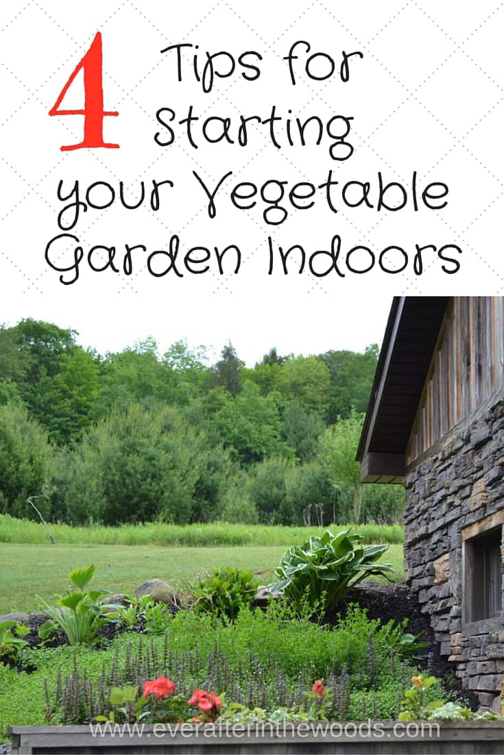 4 Tips for Starting Your Vegetable Plants Indoors