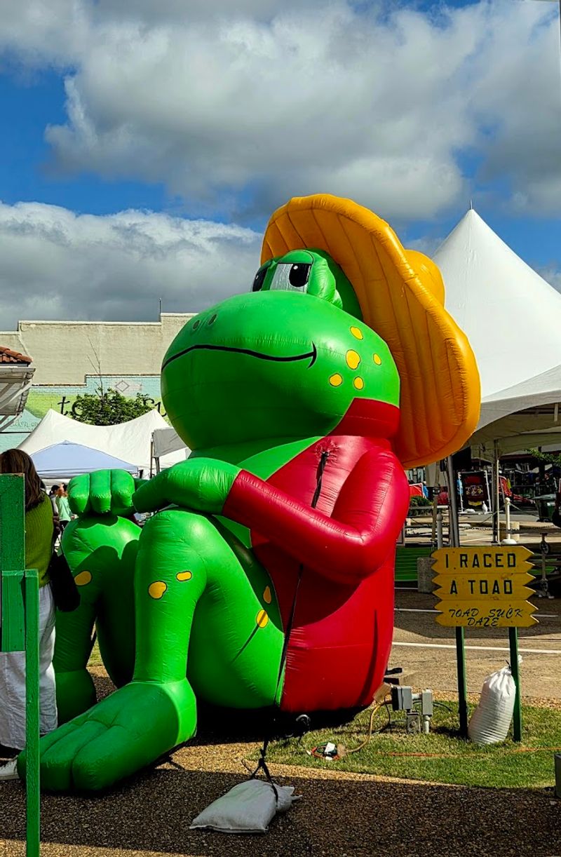 Toad Suck Daze, Conway