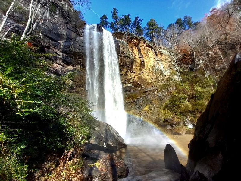Toccoa