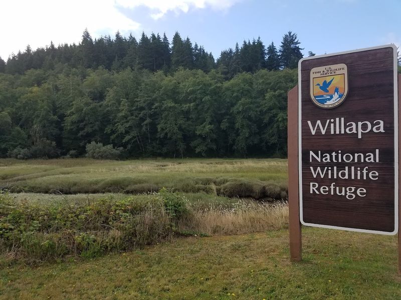 Where Nature Gets Serious