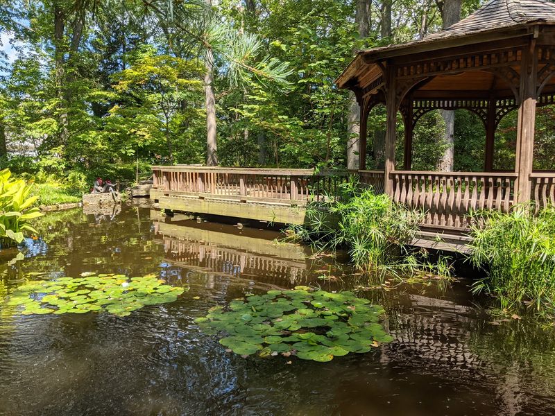 Toledo Botanical Garden Secret Forest, Toledo