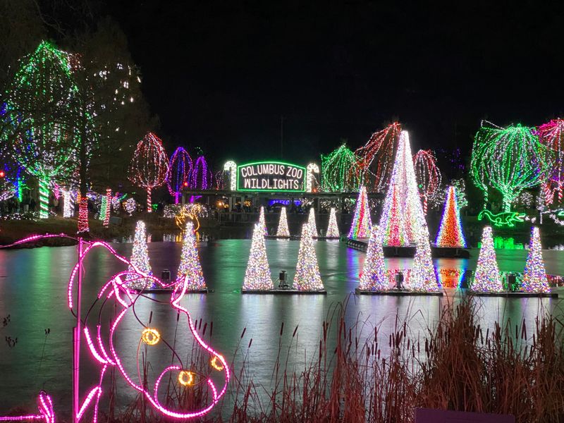 Columbus - Wildlights At The Columbus Zoo