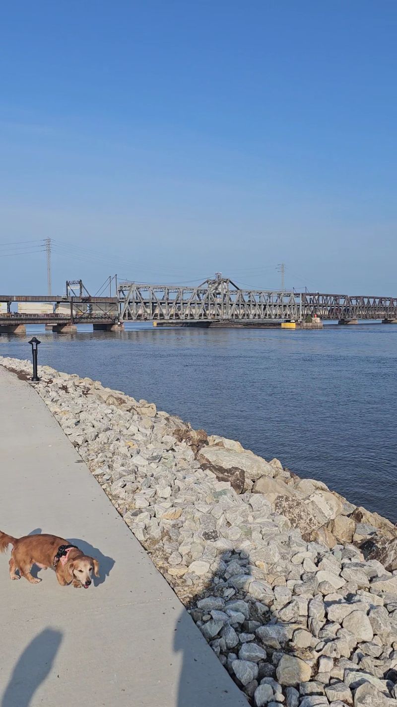 Where To Park, Watch, And Photograph The Action