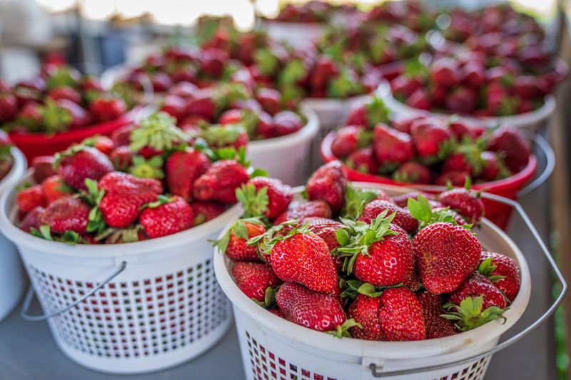 Jefferson County Historical Society Strawberry Festival — Mount Vernon