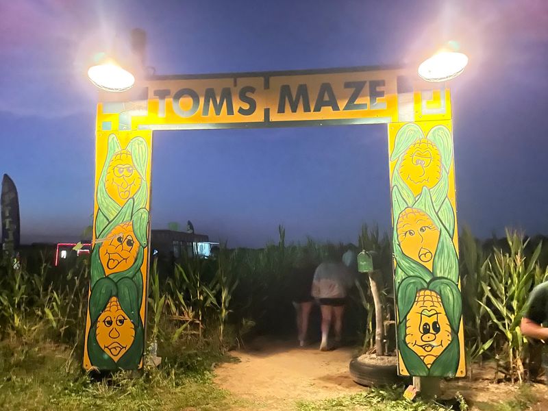 Tom's Maze and Pumpkin Farm, Germantown
