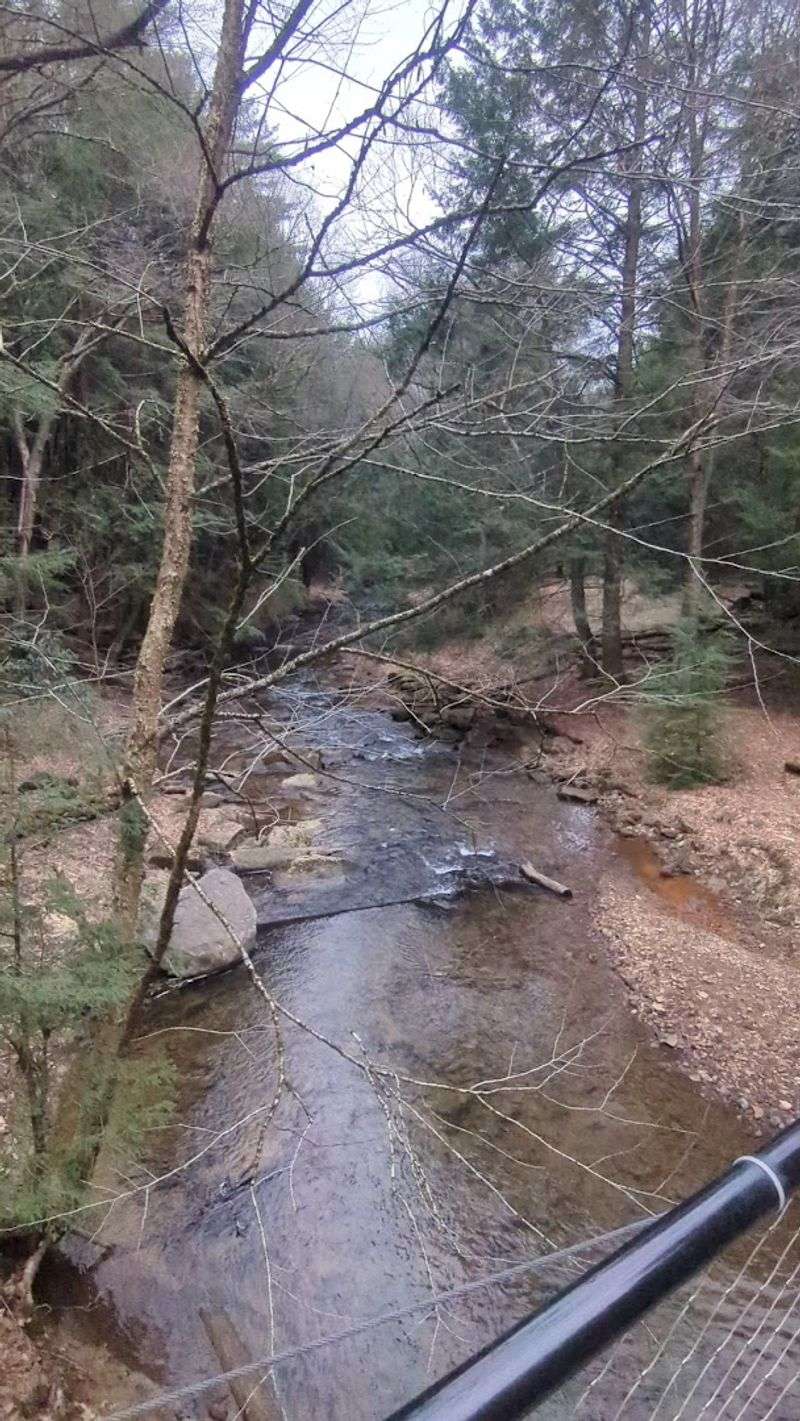 Tom's Run Adds A Creek To The Experience Tom's Run Adds A Creek To The Experience