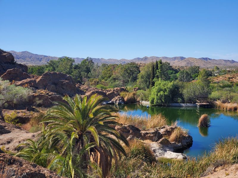 Boyce Thompson Arboretum, Superior