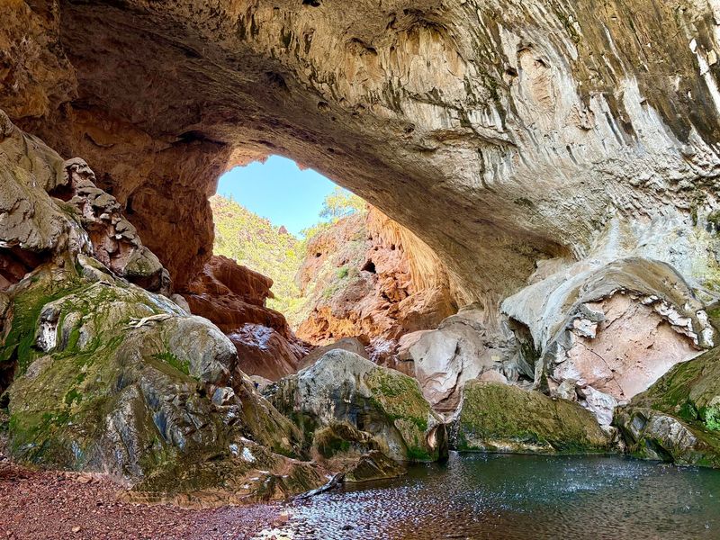 Tonto Natural Bridge State Park, Pine