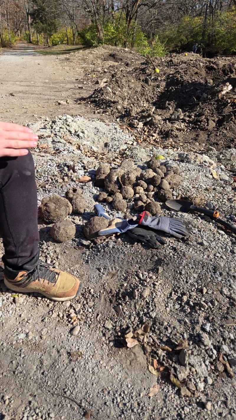 Tools That Make Digging Easier