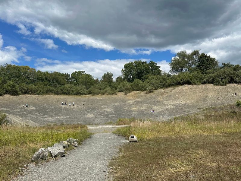 Montour Preserve Fossil Pit, Danville
