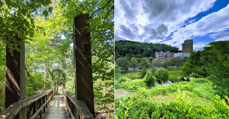 Top 11 Outdoor Adventures In Arkansas You Should Try In 2026