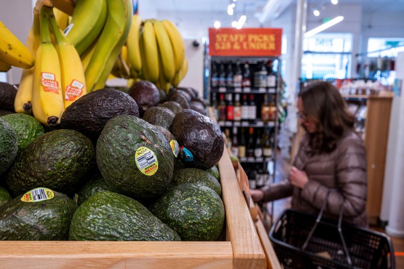 Green Gold: Avocados