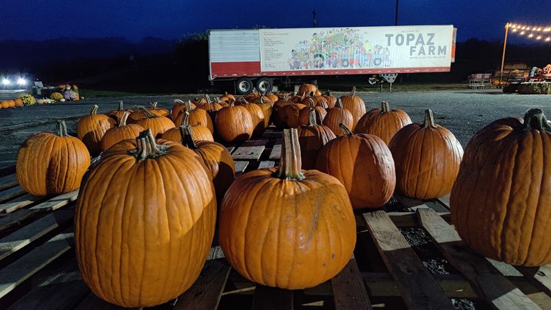 Topaz Farm