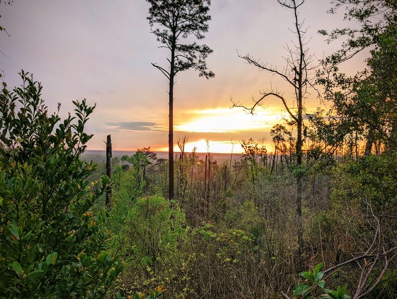 Torreya State Park, Liberty County