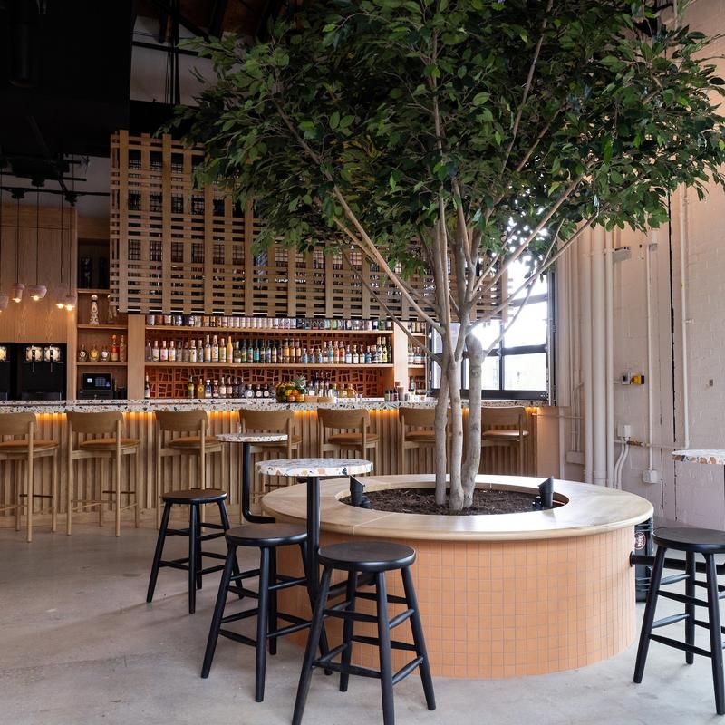 MAS Tortilleria (MAS Scratch Mexican Kitchen) – Charlotte, North Carolina