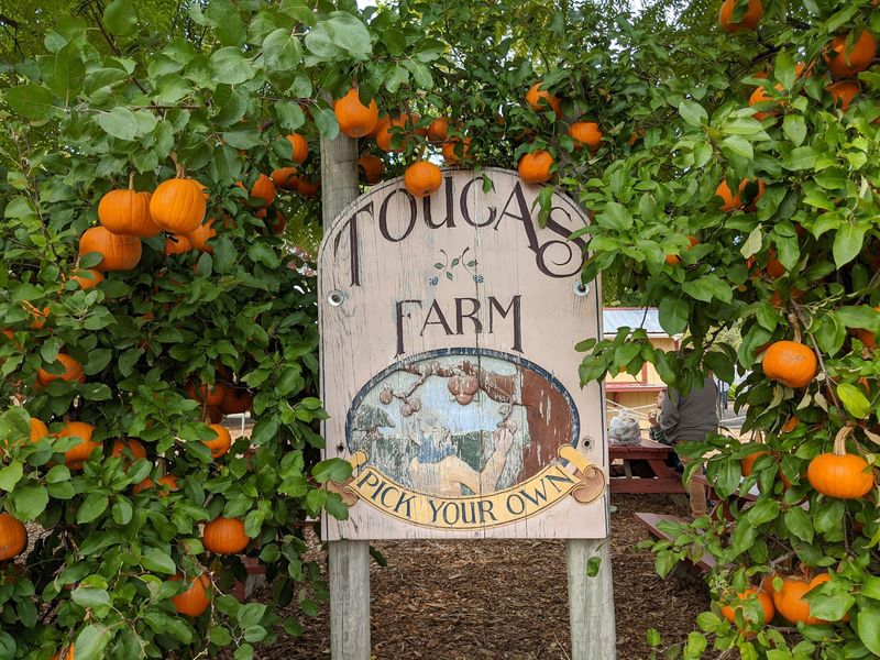 Tougas Family Farm Tougas Family Farm