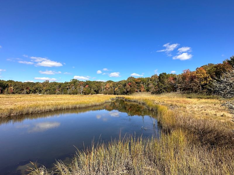 Touisset Marsh Wildlife Refuge Touisset Marsh Wildlife Refuge