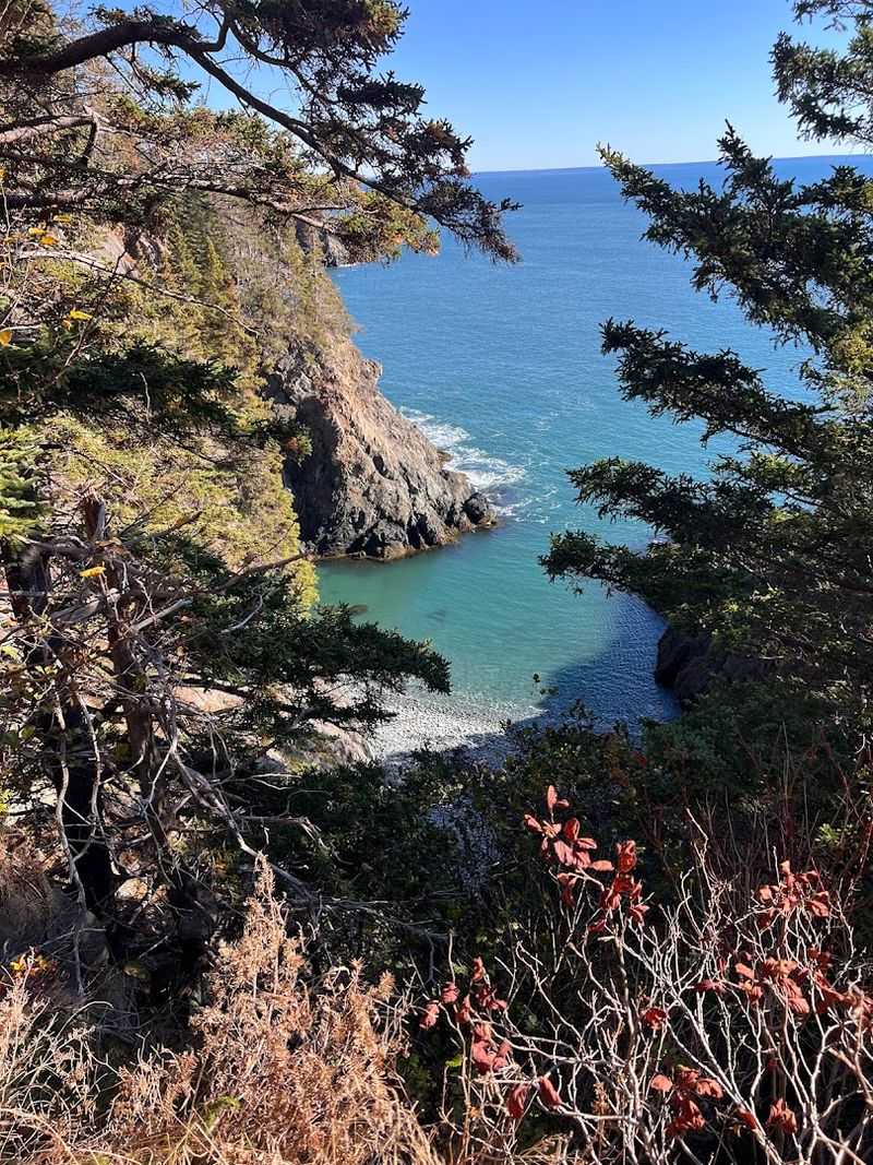 Tour The Bold Coast