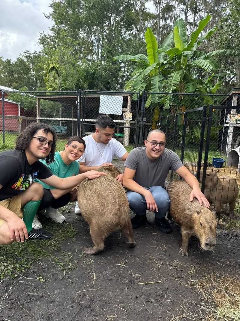 Service, Staff, And Guest Experience