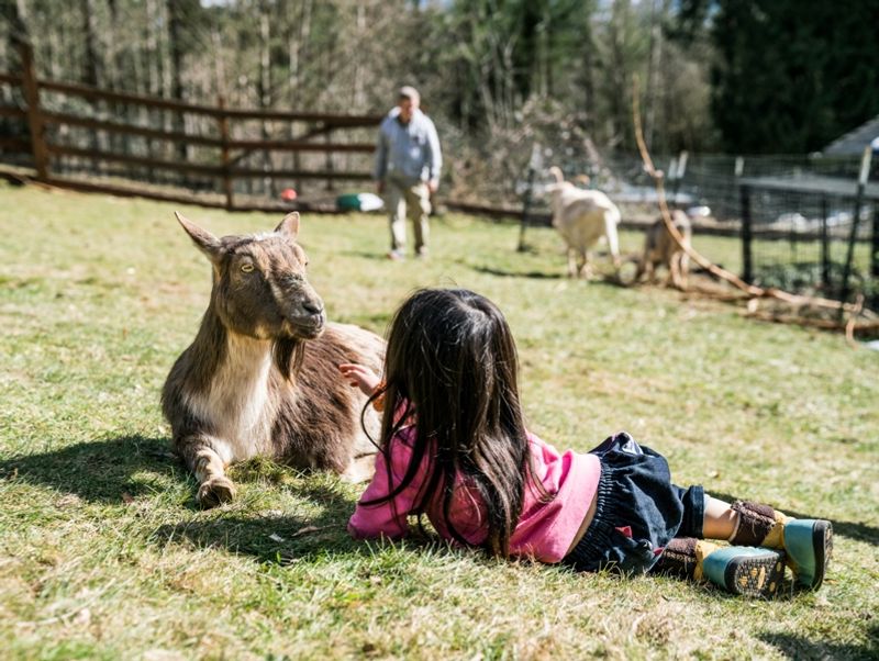 Tours, Field Trips, and Family-Friendly Visits