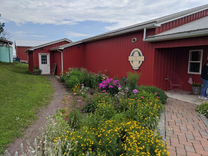 Customer Service Exceeds Expectations