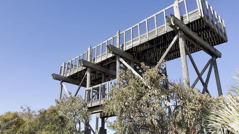 Tower Access And Checking Before You Go