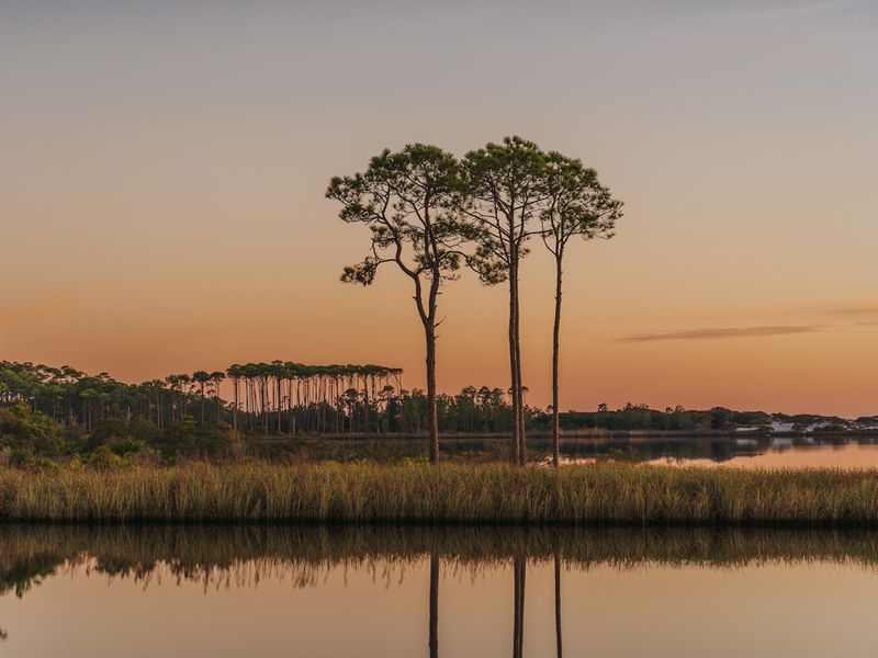 Western Lake's Rare Coastal Dune Lake System