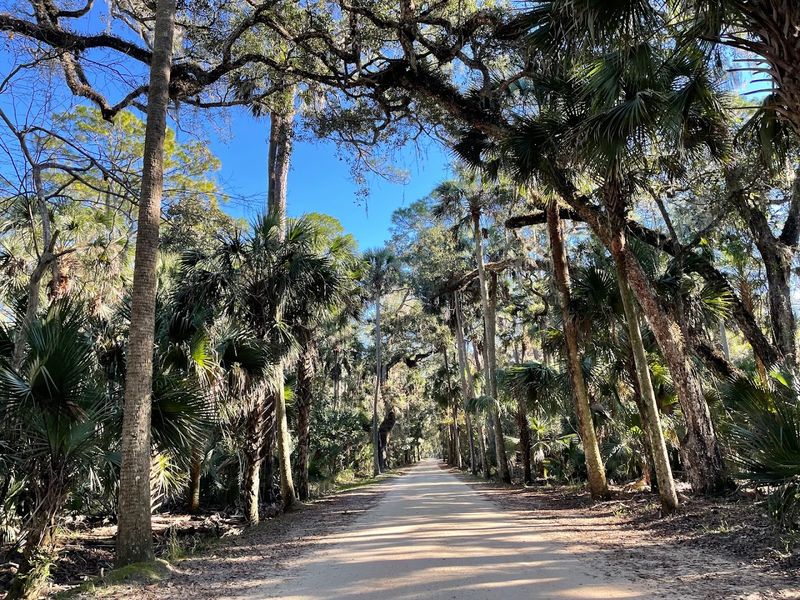 Self-Guided Historical Tour Through Coastal Hammock